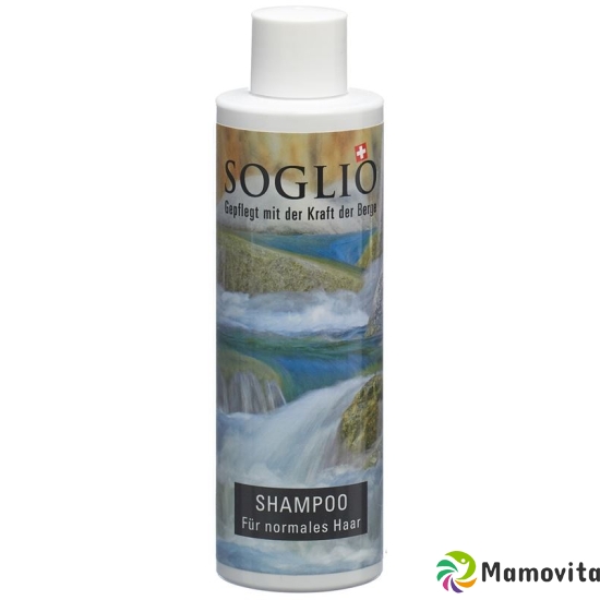 Soglio Shampoo für Normales Haar Flasche 200ml buy online