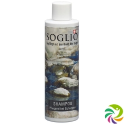 Soglio Shampoo Gegen Schuppen Flasche 200ml