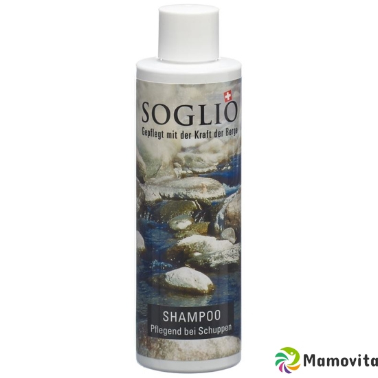 Soglio Shampoo Gegen Schuppen Flasche 200ml buy online