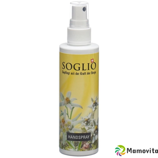 Soglio Handspray Flasche 100ml buy online