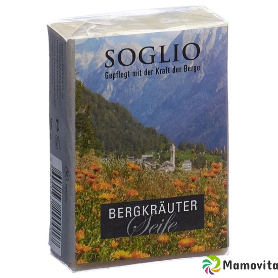 Soglio Bergkräuter-seife 95g buy online