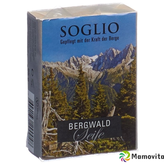 Soglio Bergwald-Seife 95g buy online