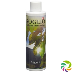 Soglio Solar 7 Flasche 200ml