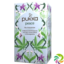 Pukka Peace Tee Bio 20 Beutel