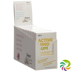 R&r Active Mind Gum 10x 24 Stück