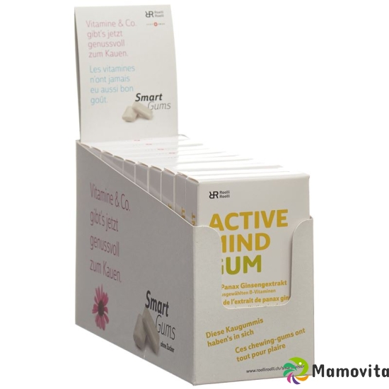 R&r Active Mind Gum 10x 24 Stück buy online