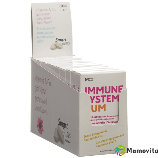 R&r Immune System Gum 10x 24 Stück buy online