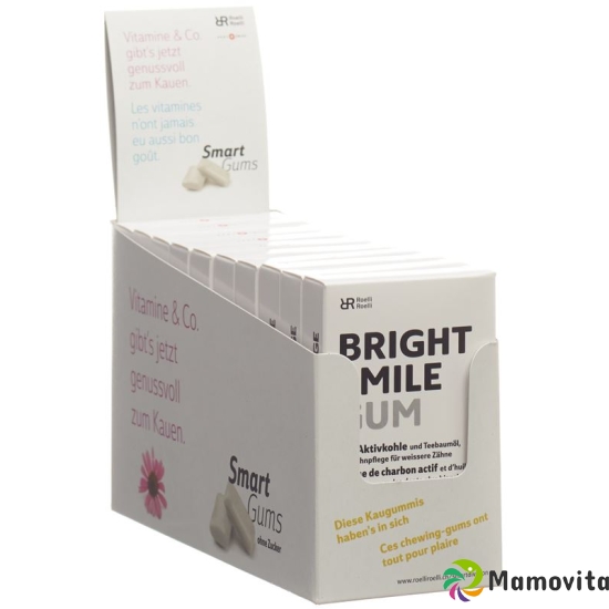 R&r Bright Smile Gum 10x 24 Stück buy online