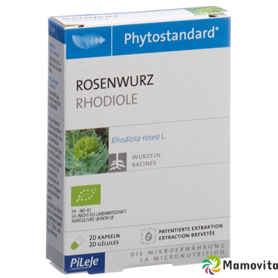 Phytostandard Rosenwurz Kapseln Bio 20 Stück buy online