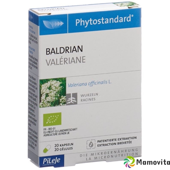 Phytostandard Baldrian Kapseln Bio 20 Stück buy online