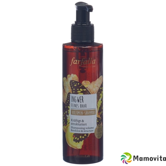 Farfalla Volumen-Shampoo Ingwer 200ml buy online