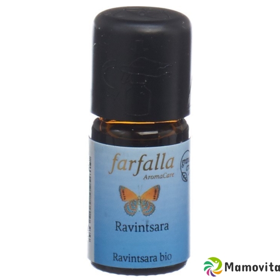 Farfalla Ravintsara Ätherisches Öl Bio Grand Cru 5ml buy online