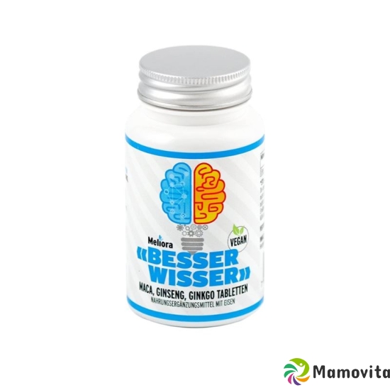 Meliora Besserwisser Tabletten 565mg Dose 90 Stück buy online