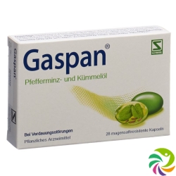 Gaspan Kapseln Magensaftresistent 28 Stück