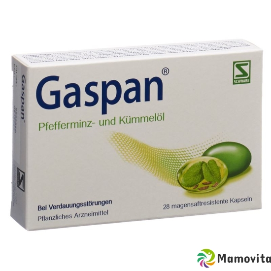 Gaspan Kapseln Magensaftresistent 28 Stück buy online