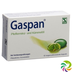 Gaspan Kapseln Magensaftresistent 42 Stück