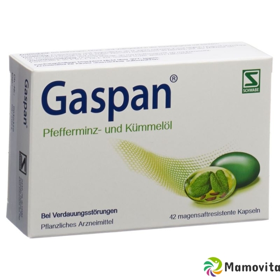 Gaspan Kapseln Magensaftresistent 42 Stück buy online