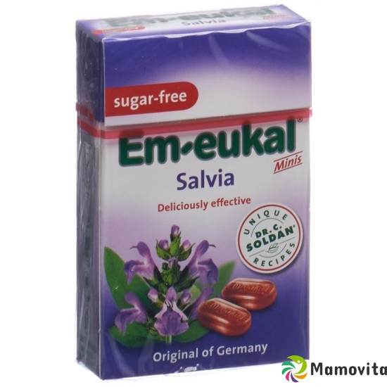 Soldan Em-Eukal Minis Salbei Zuckerf Pocket 40g buy online