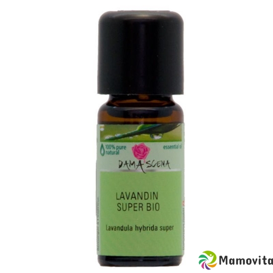 Damascena Lavandin Super Ätherisches Öl Bio Flasche 10ml buy online