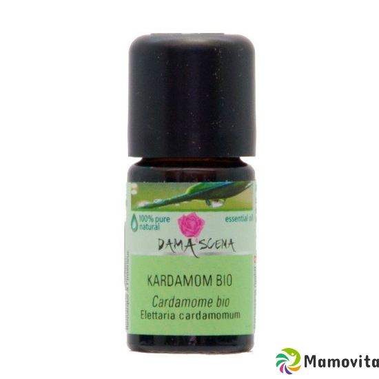 Damascena Kardamom Ätherisches Öl Bio Flasche 5ml buy online