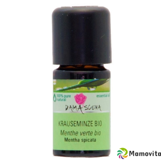 Damascena Krauseminze Ätherisches Öl Bio Flasche 5ml buy online