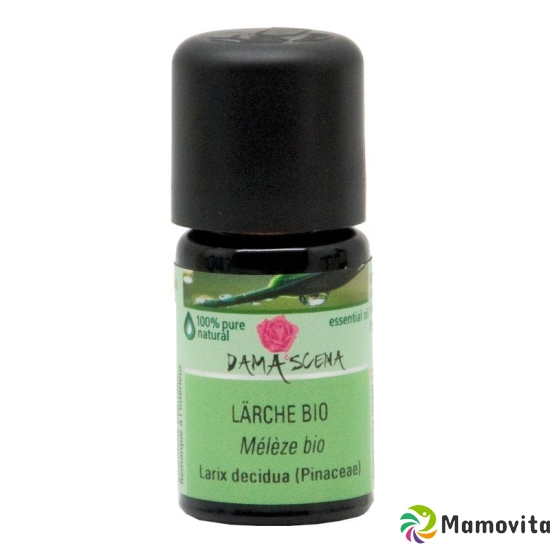 Damascena Laerche Ätherisches Öl Bio Flasche 5ml buy online