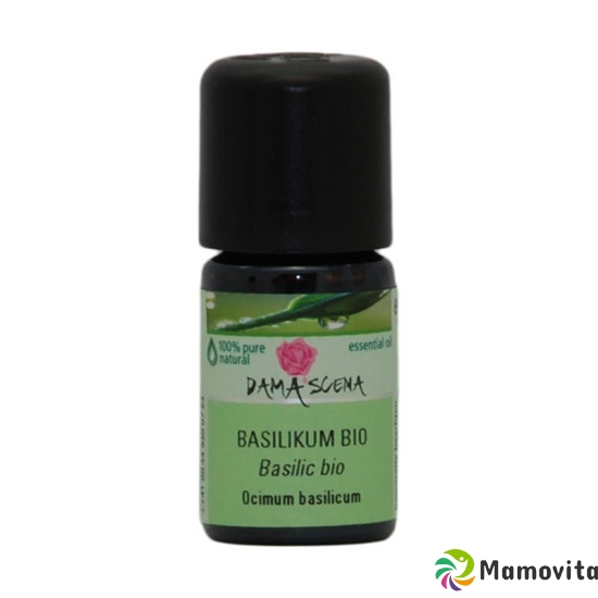 Damascena Basilikum Ätherisches Öl Bio Flasche 5ml buy online