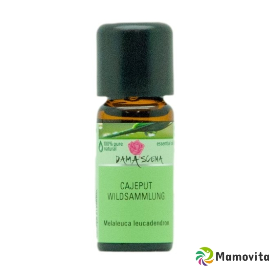 Damascena Cajeput Ätherisches Öl Ws Flasche 10ml buy online