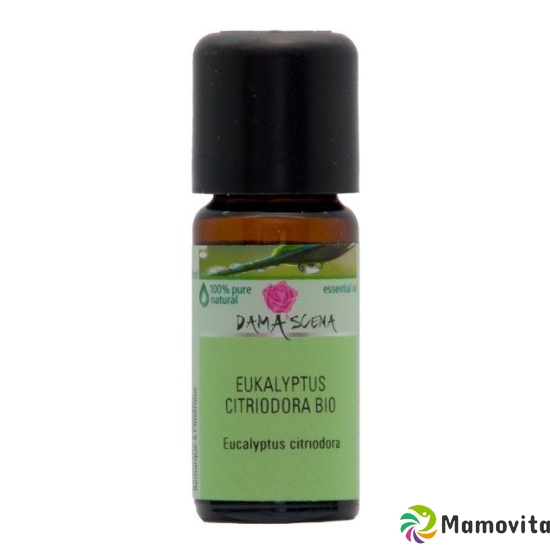 Damascena Eukalyptus Citriod Ätherisches Öl Bio Flasche 10ml buy online