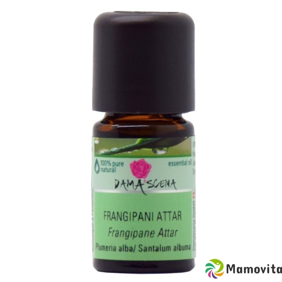 Damascena Frangipani Attar Ätherisches Öl Trad Flasche 5ml buy online