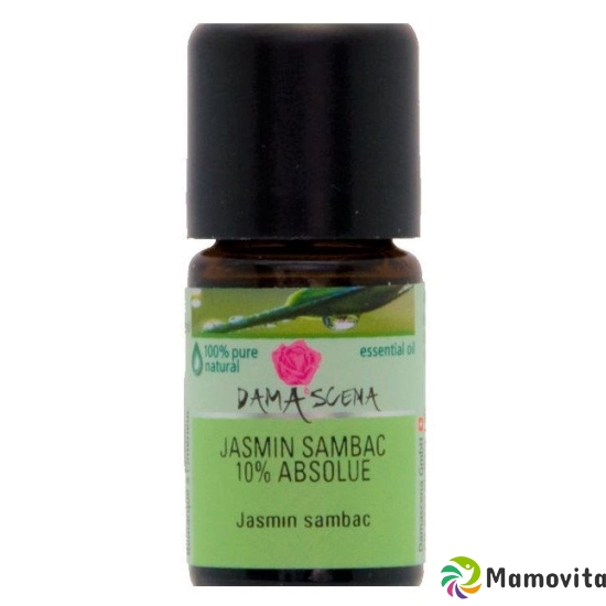 Damascena Jasm Sambac 10% Absolue Weingeist 5ml buy online