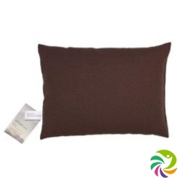 Sky Green Manager Cushion 40x60cm Brown