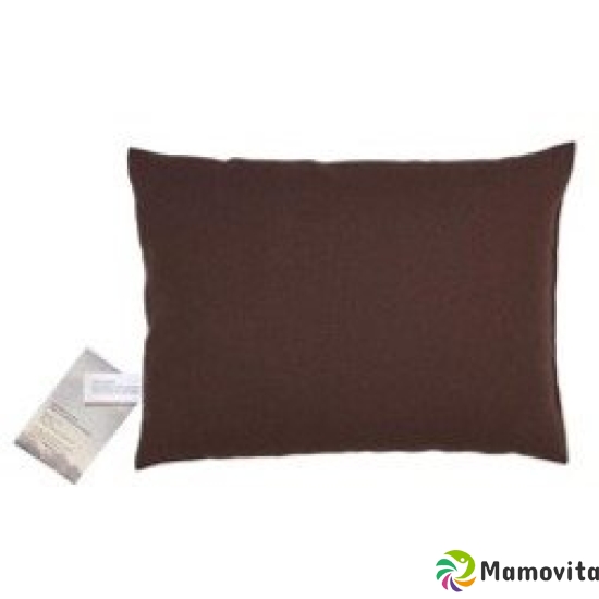 Sky Green Manager Cushion 40x60cm Brown buy online