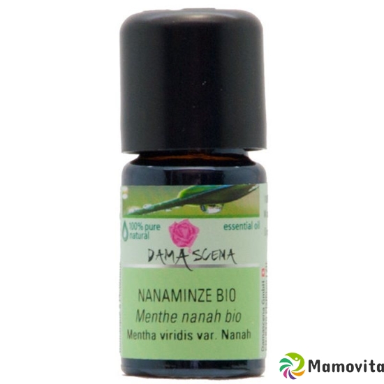 Damascena Nanaminze Ätherisches Öl Bio Flasche 5ml buy online