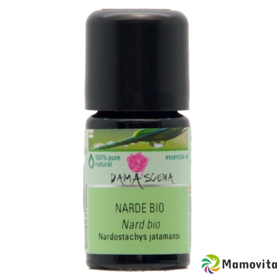 Damascena Narde Ätherisches Öl Bio Flasche 5ml buy online