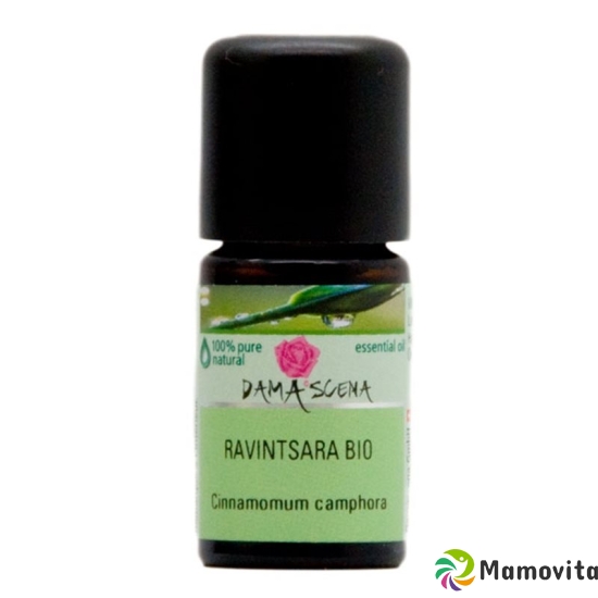 Damascena Ravintsara Ätherisches Öl Bio Flasche 5ml buy online