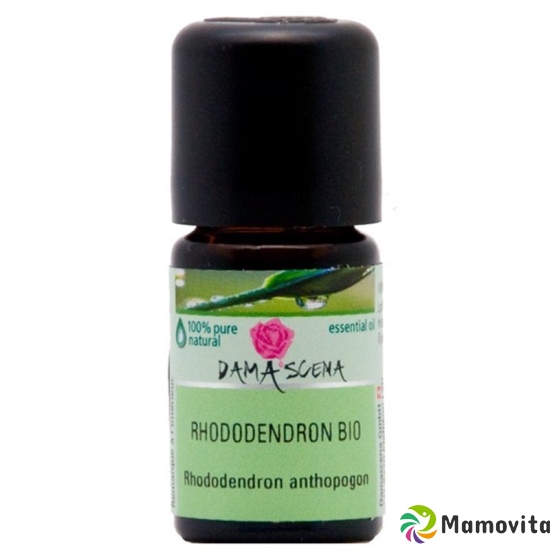 Damascena Rhododendron Ätherisches Öl Bio Flasche 5ml buy online