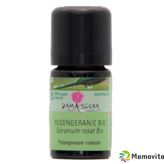 Damascena Rosengeranium Ätherisches Öl Bio Flasche 5ml buy online