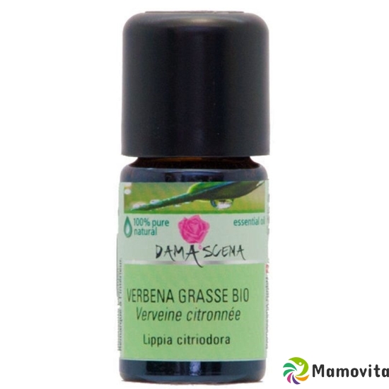 Damascena Verbena Grasse Ätherisches Öl Bio Flasche 5ml buy online