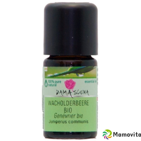 Damascena Wacholderbeere Ätherisches Öl Bio Flasche 5ml buy online