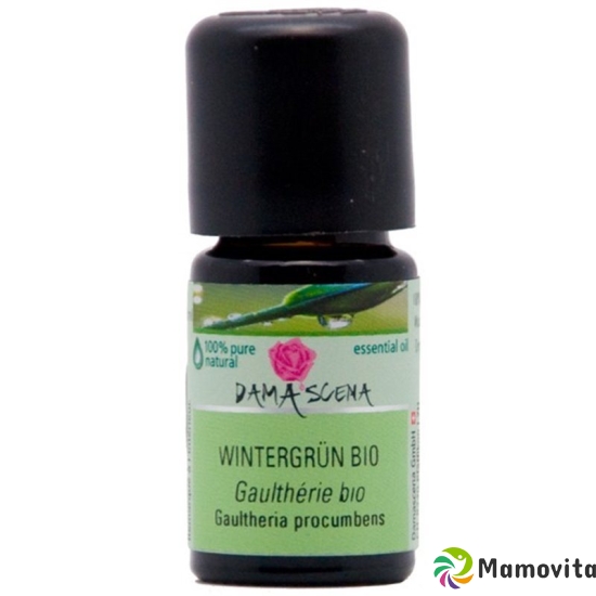 Damascena Wintergrün Ätherisches Öl Bio Flasche 5ml buy online