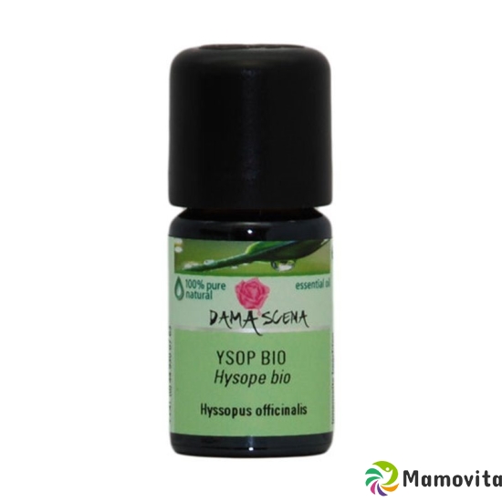 Damascena Ysop Ätherisches Öl Bio Flasche 5ml buy online