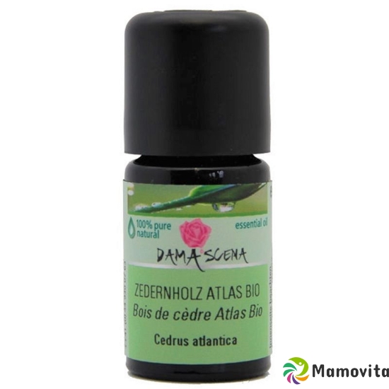 Damascena Zedernholz Atlas Ätherisches Öl Bio Flasche 5ml buy online