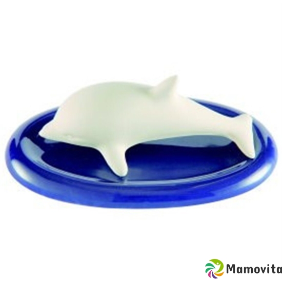 Damascena fragrance stone dolphin buy online