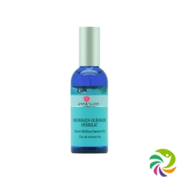 Damascena Weihrauchwasser Bio Spray 100ml