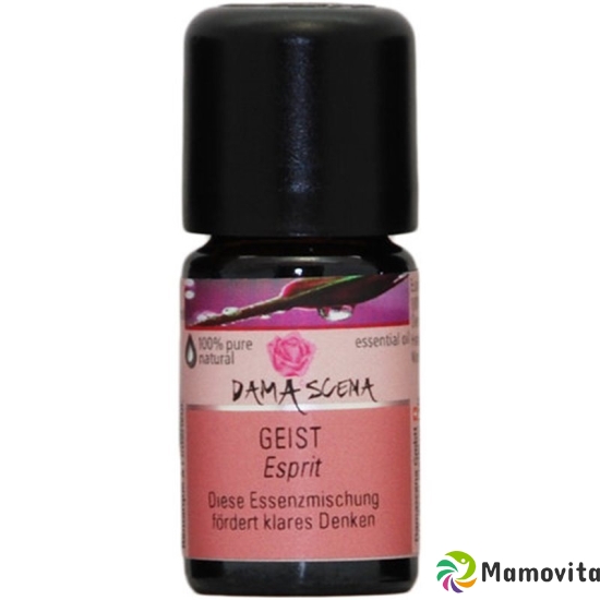 Damascena Essenzmischung Geist Flasche 5ml buy online