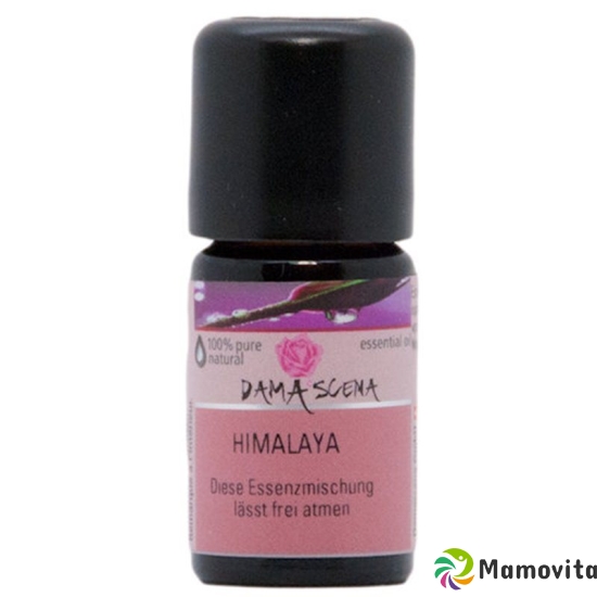 Damascena Essenzmischung Himalaya Flasche 5ml buy online