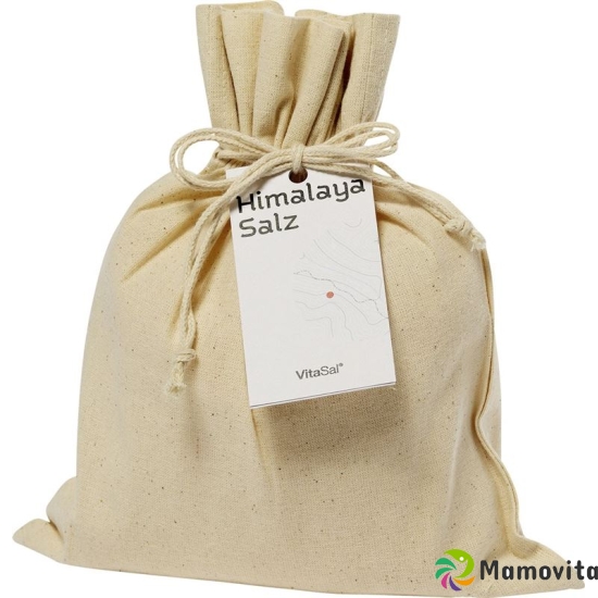 Vitasal Kristallsalz Himalaya Brock Lei Beutel 1000g buy online