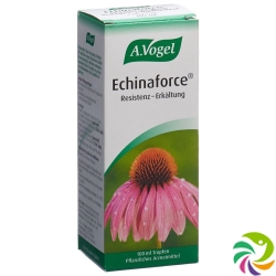 Vogel Echinaforce Resistenz-Erkältung Tropfen 100ml