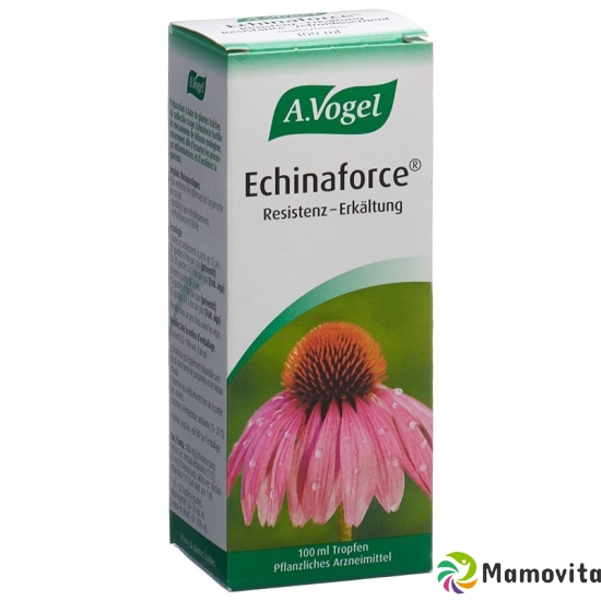 Vogel Echinaforce Resistenz-Erkältung Tropfen 100ml buy online